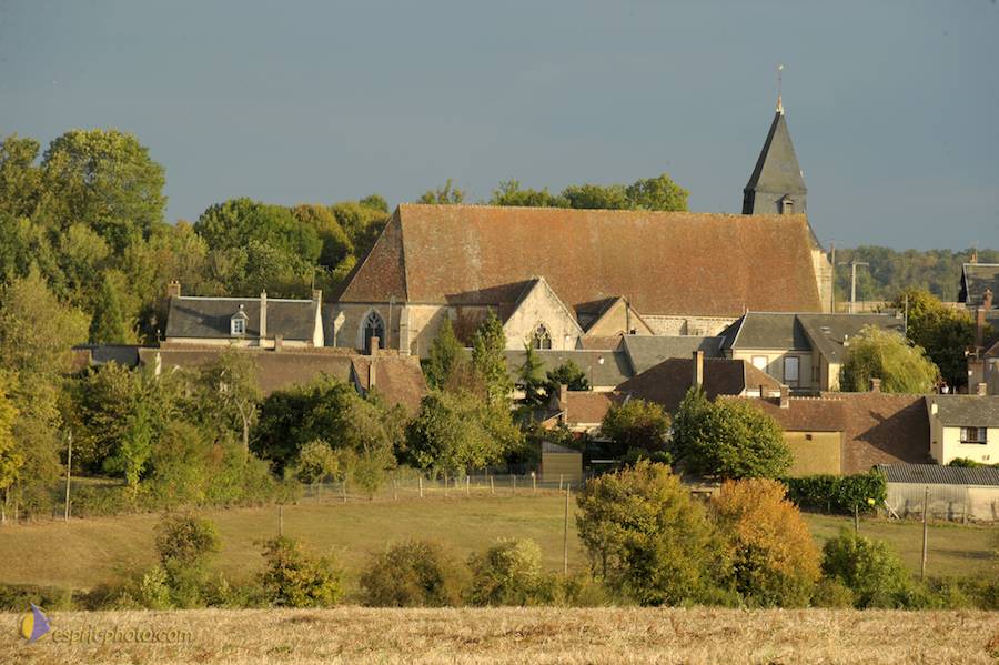 Nom de l'image : D30098950_1_(c)Norbert-JUNG — Description :